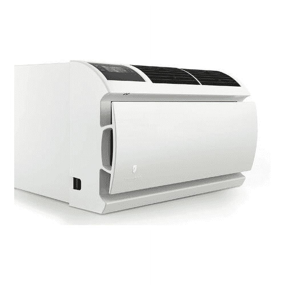 Friedrich Wct08a10a Wallmaster 8000 BTU 115 Volt Through Wall Air Conditioner - White